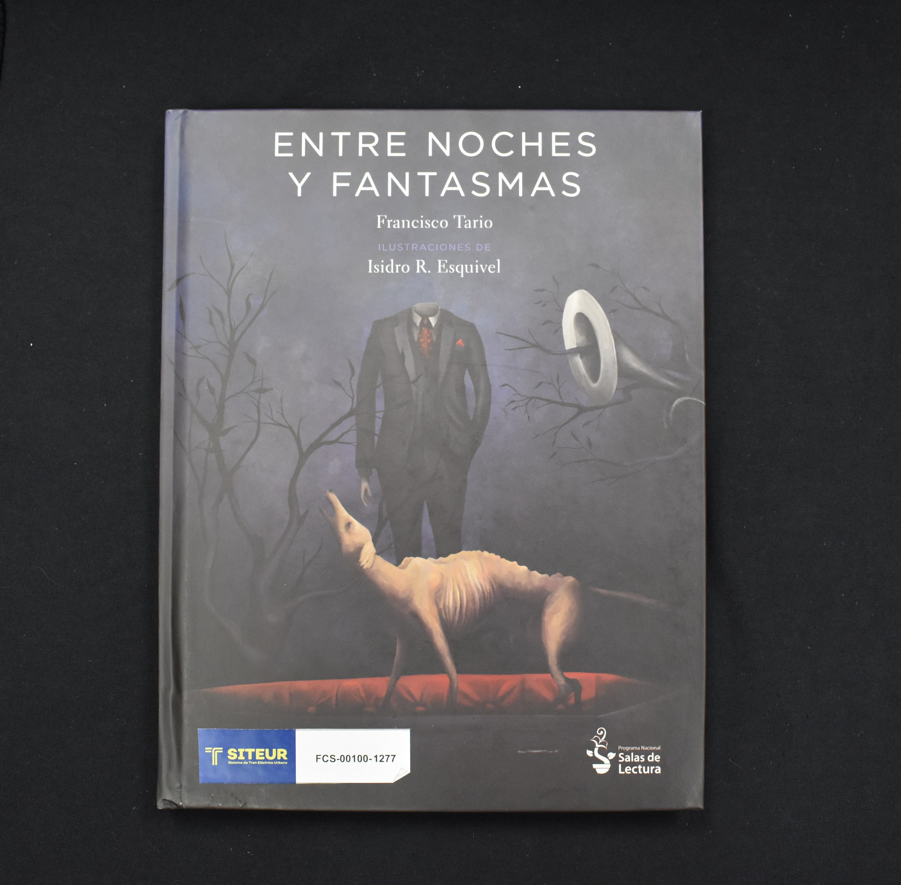 Entre noche y fantasmas 