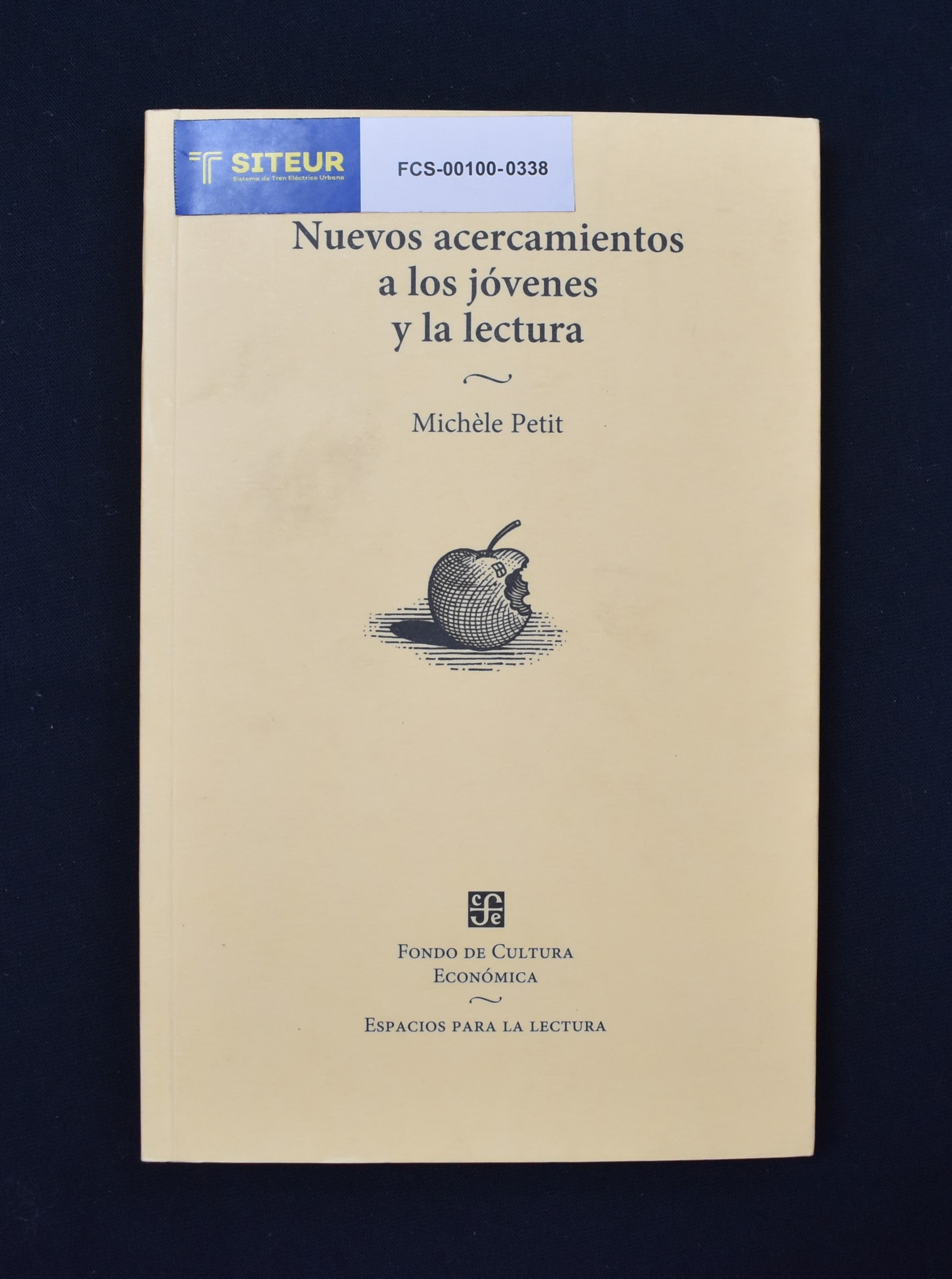 Nuevos Acercamientos a los J&oacute;venes y la Lectura