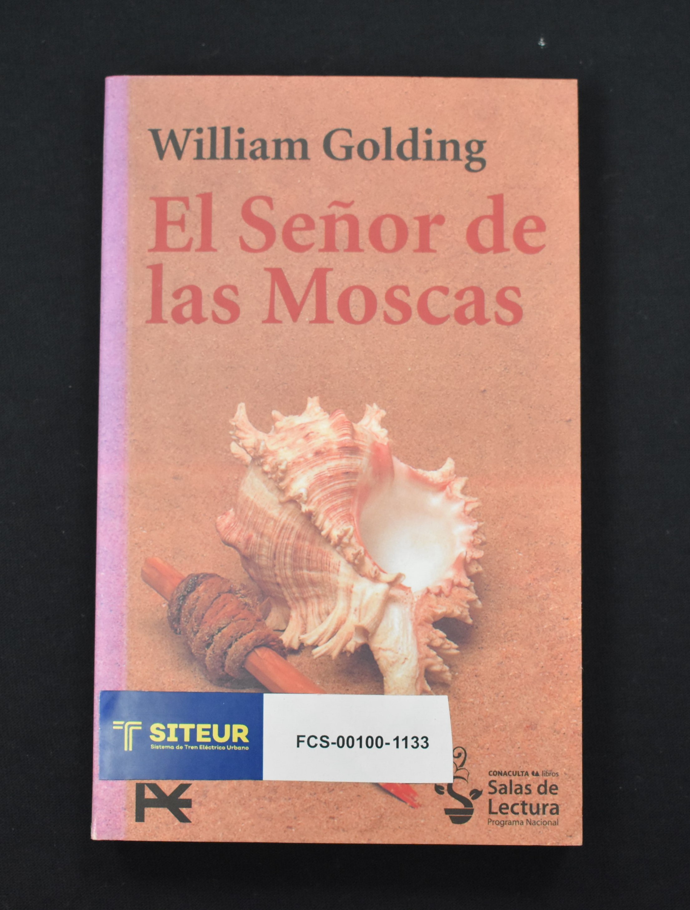 El Se&ntilde;or de las Moscas