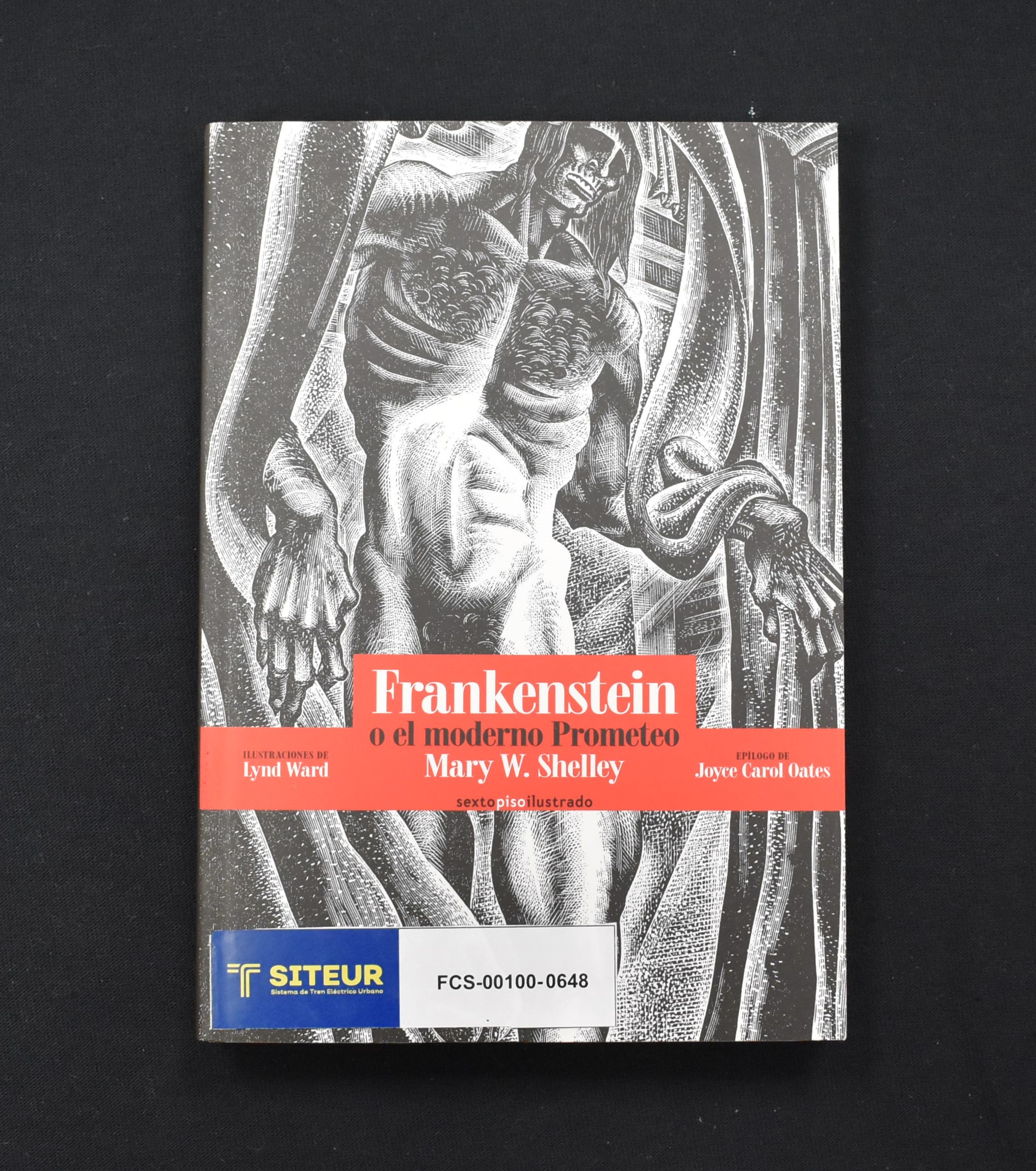 Frankenstein o el moderno Prometeo