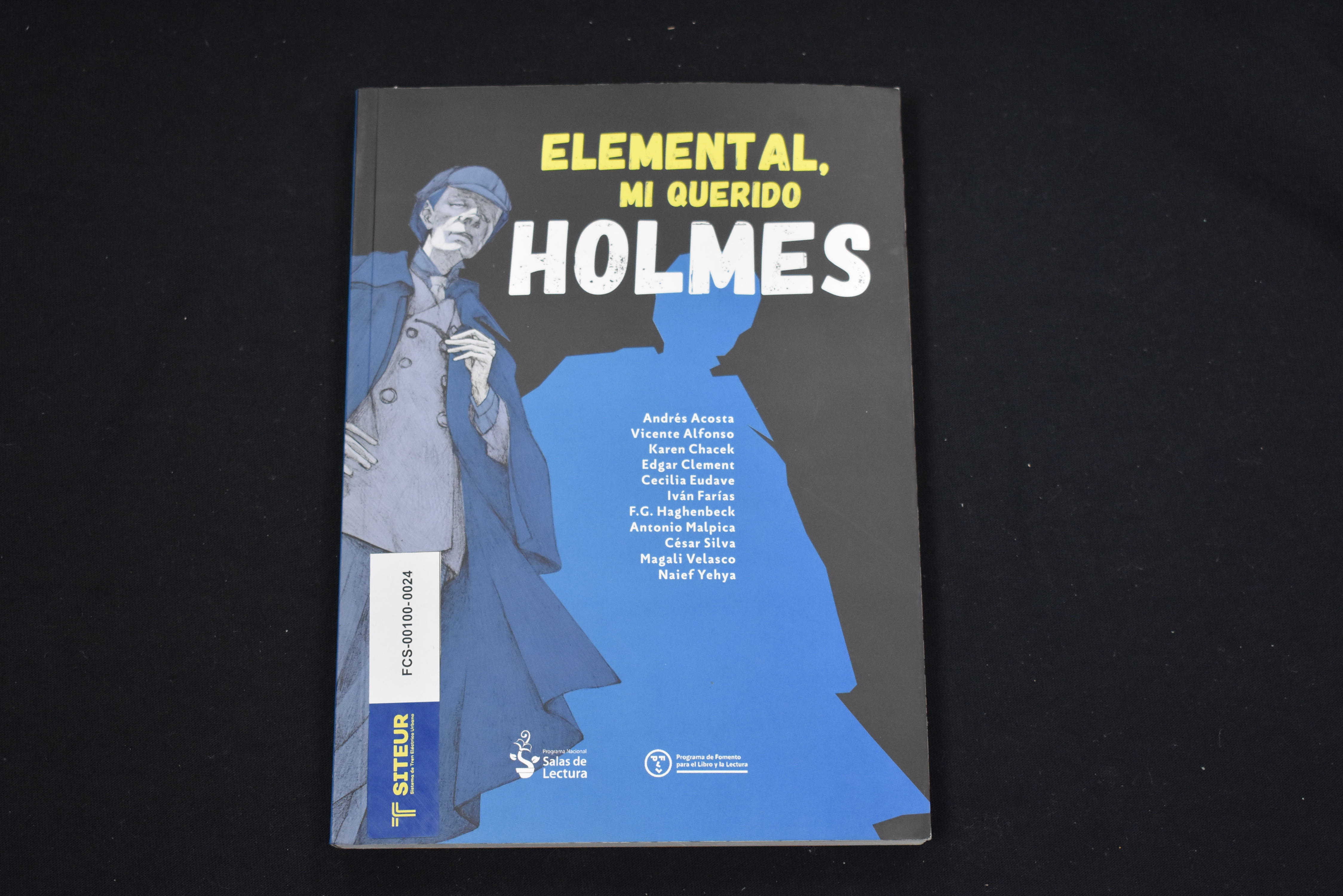 Elemental Mi Querido Holmes